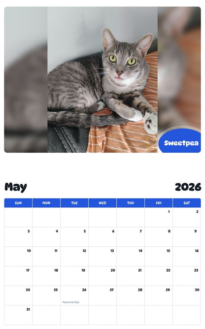2026 - 2027 Sweetpea - Pawidols Pet Calendar
