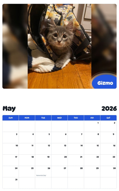 2026 - 2027 Gizmo - Pawidols Pet Calendar