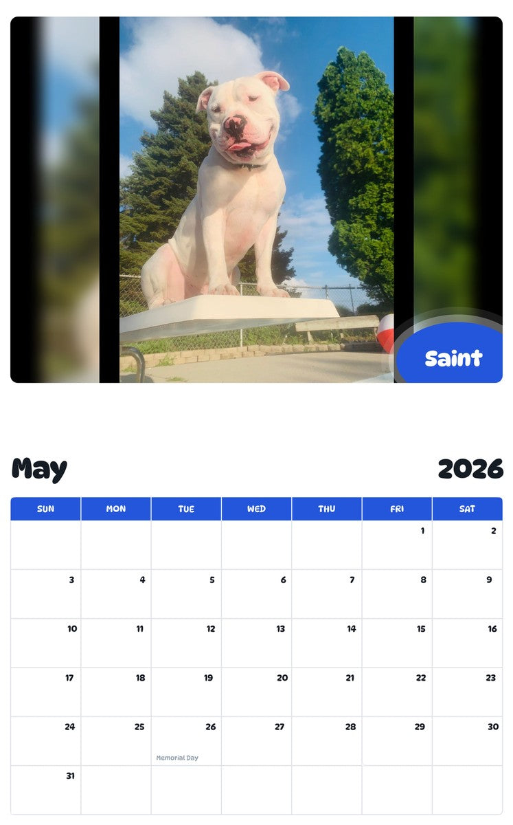 2026 - 2027 Saint - Pawidols Pet Calendar