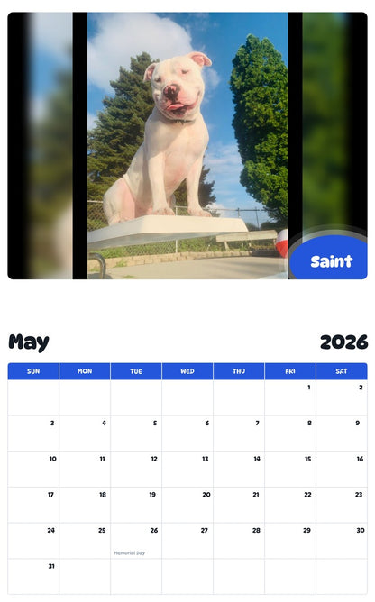 2026 - 2027 Saint - Pawidols Pet Calendar