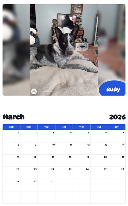 November 2025 - October 2026 Rudy - Pawidols Pet Calendar
