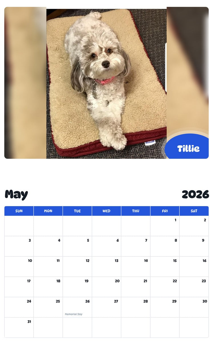 2026 - 2027 Tillie - Pawidols Pet Calendar