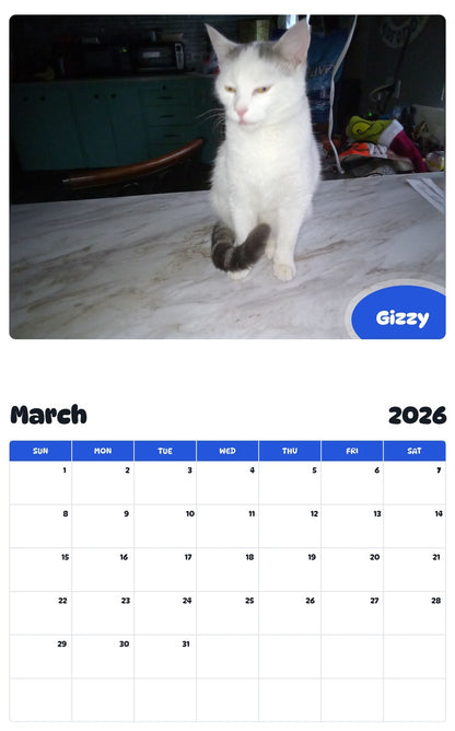 November 2025 - October 2026 Gizzy - Pawidols Pet Calendar