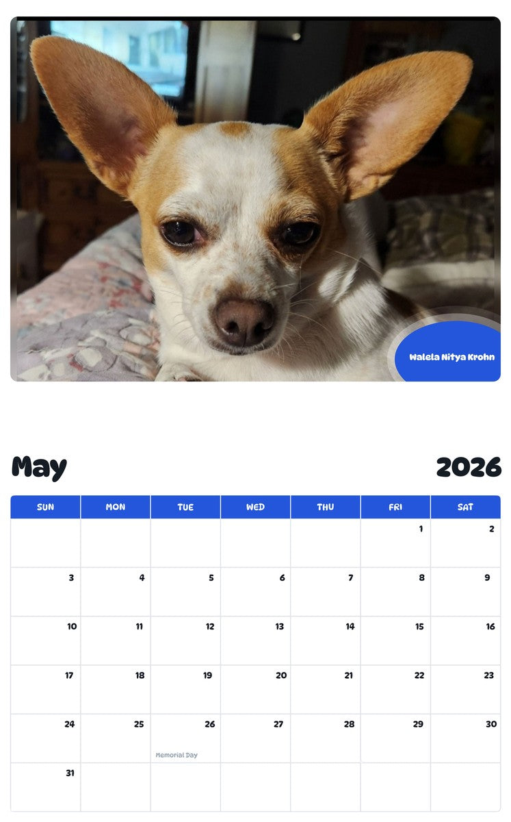 2026 - 2027 Walela Nitya Krohn - Pawidols Pet Calendar