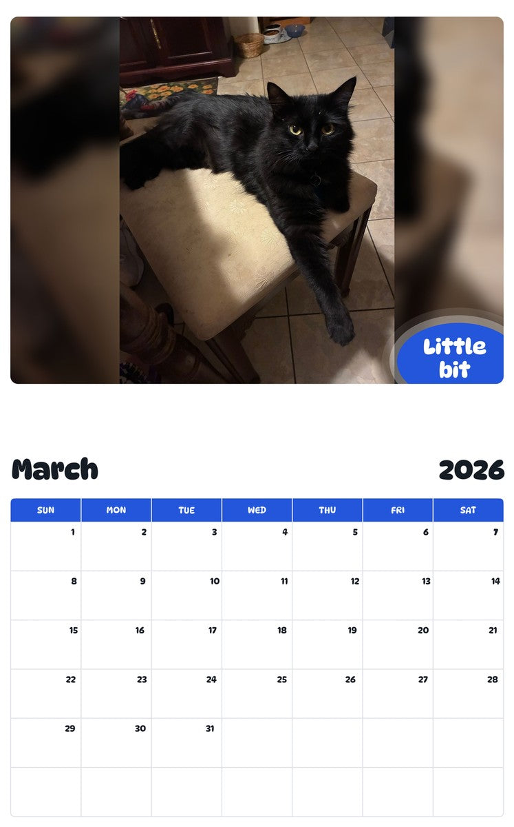 November 2025 - October 2026 Little bit - Pawidols Pet Calendar