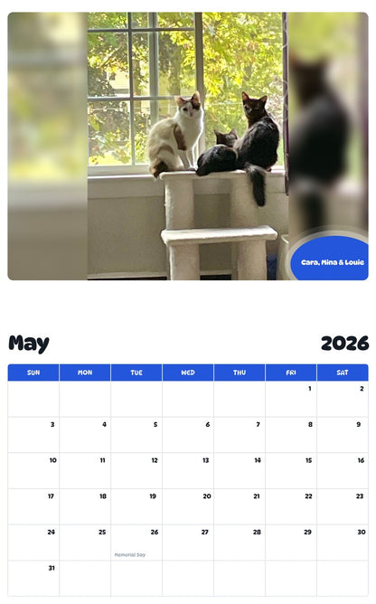 2026 - 2027 Cara, Mina & Louie - Pawidols Pet Calendar