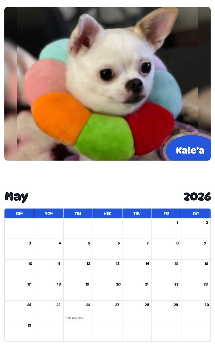 2026 - 2027 Kale’a - Pawidols Pet Calendar