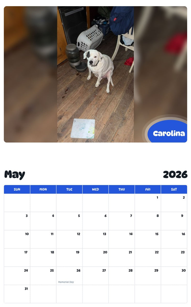 2026 - 2027 Carolina - Pawidols Pet Calendar
