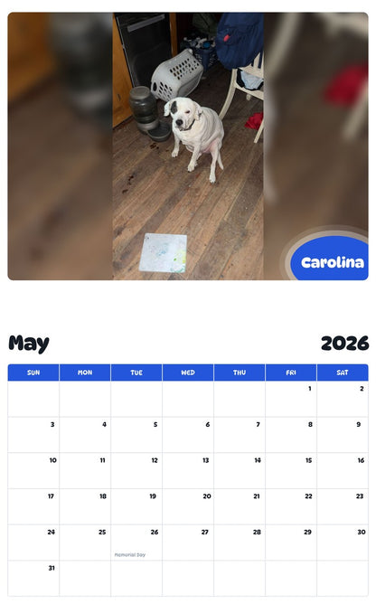 2026 - 2027 Carolina - Pawidols Pet Calendar