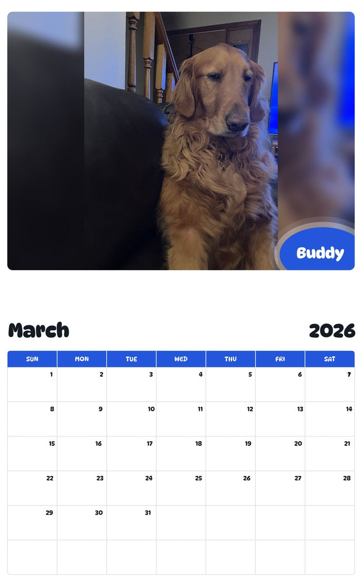 November 2025 - October 2026 Buddy - Pawidols Pet Calendar