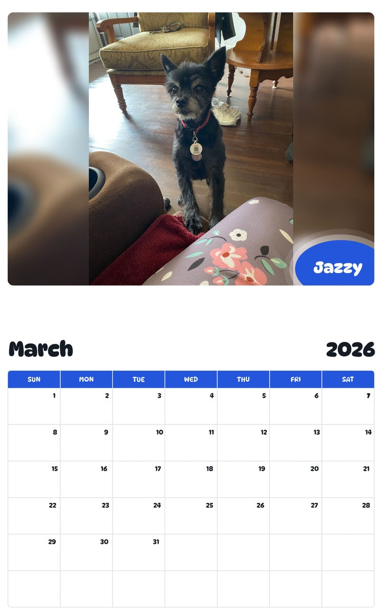 November 2025 - October 2026 Jazzy - Pawidols Pet Calendar