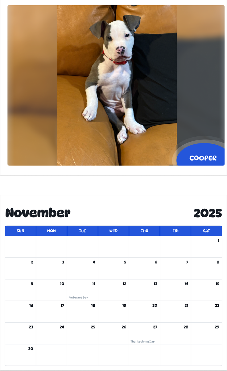 July 2025 - June 2026 Cooper - Pawidols Pet Calendar