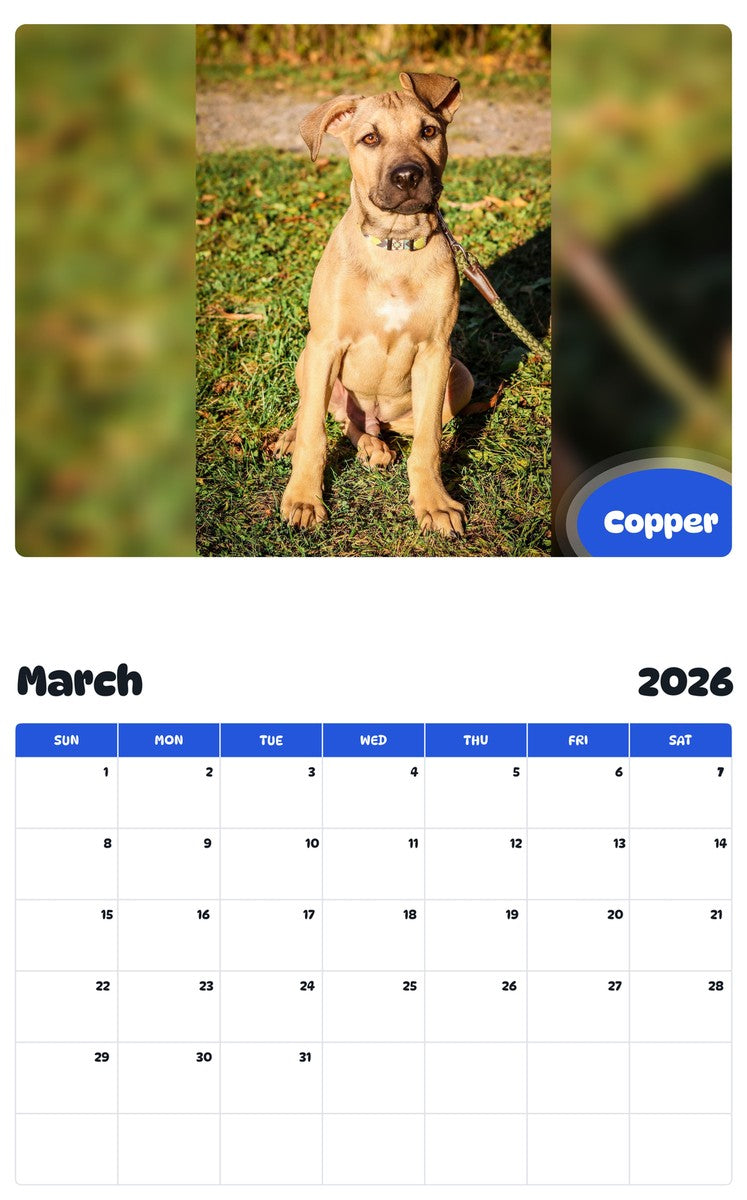 November 2025 - October 2026 Copper - Pawidols Pet Calendar