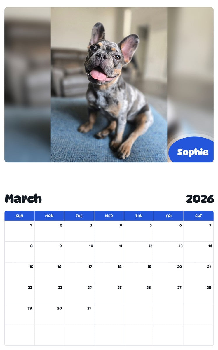 November 2025 - October 2026 Sophie - Pawidols Pet Calendar