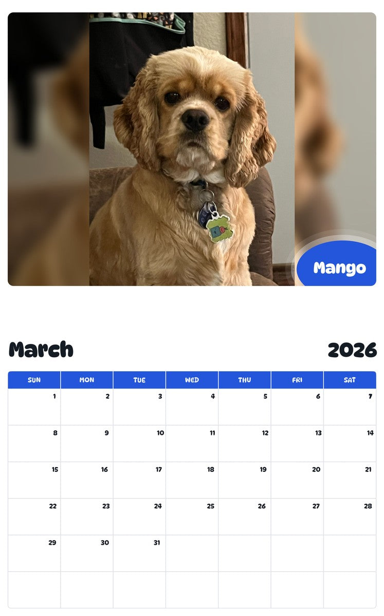 November 2025 - October 2026 Mango - Pawidols Pet Calendar