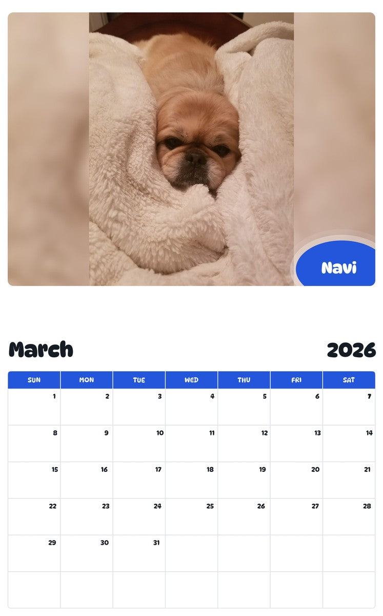 November 2025 - October 2026 Navi - Pawidols Pet Calendar