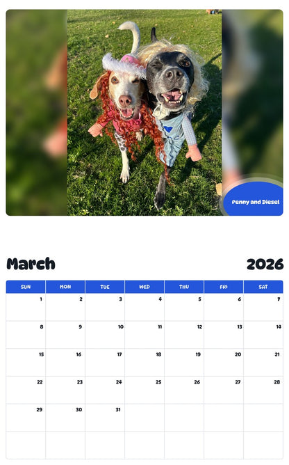 November 2025 - October 2026 Penny and Diesel - Pawidols Pet Calendar