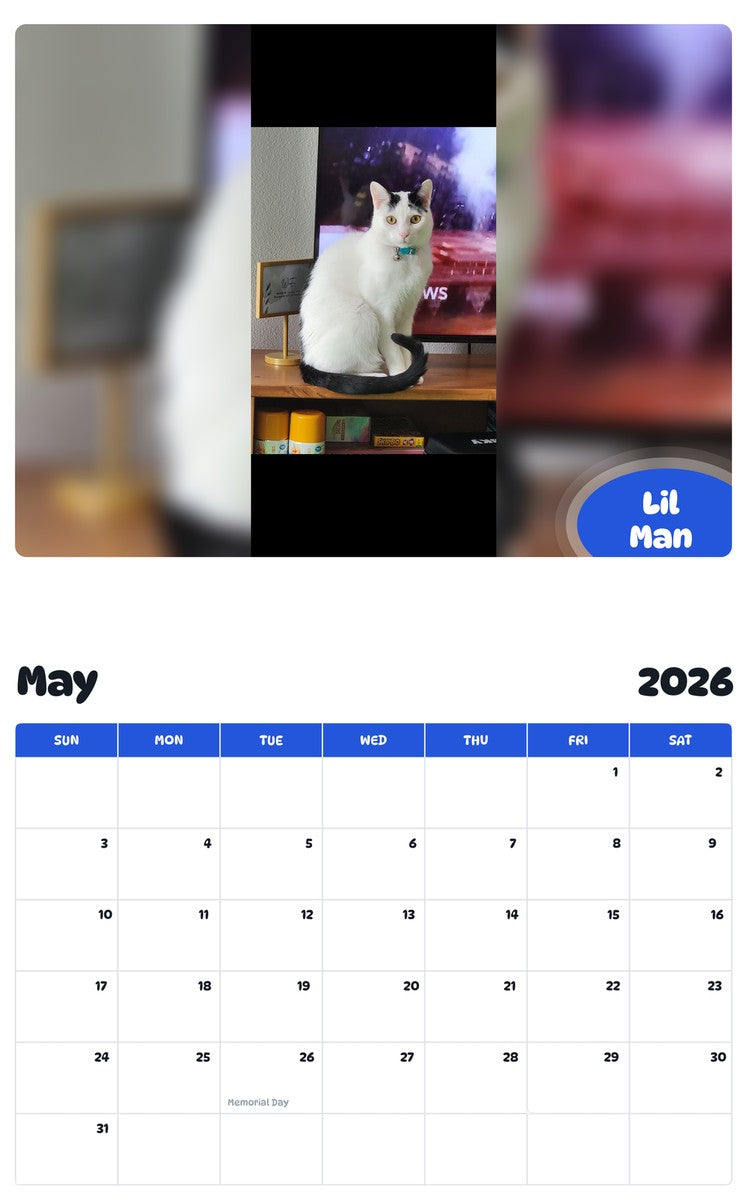 2026 - 2027 Lil Man - Pawidols Pet Calendar