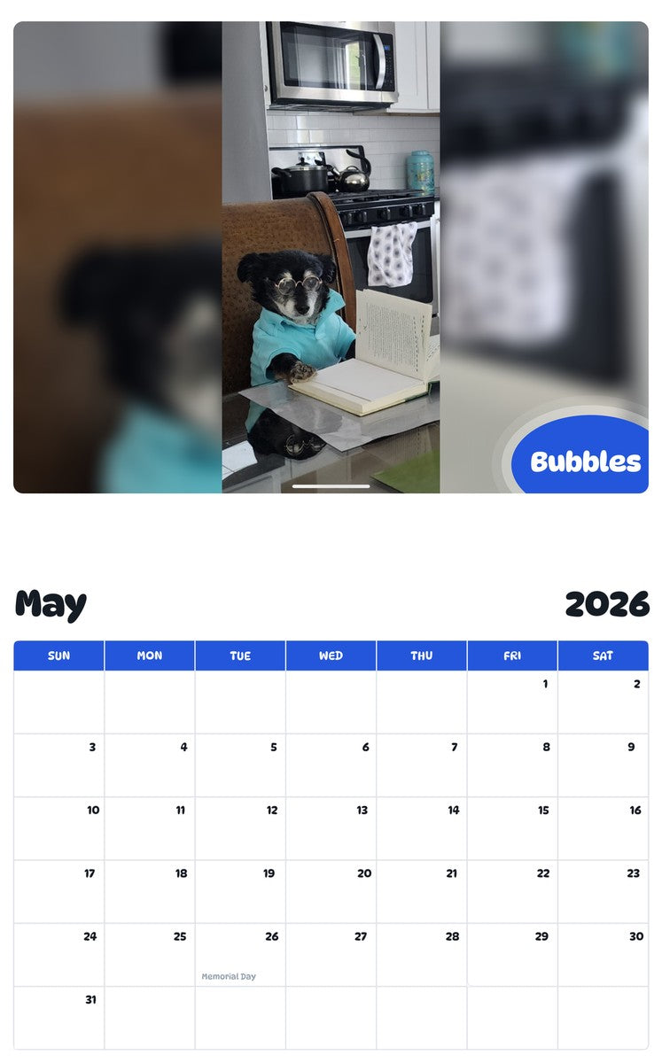 2026 - 2027 Bubbles - Pawidols Pet Calendar