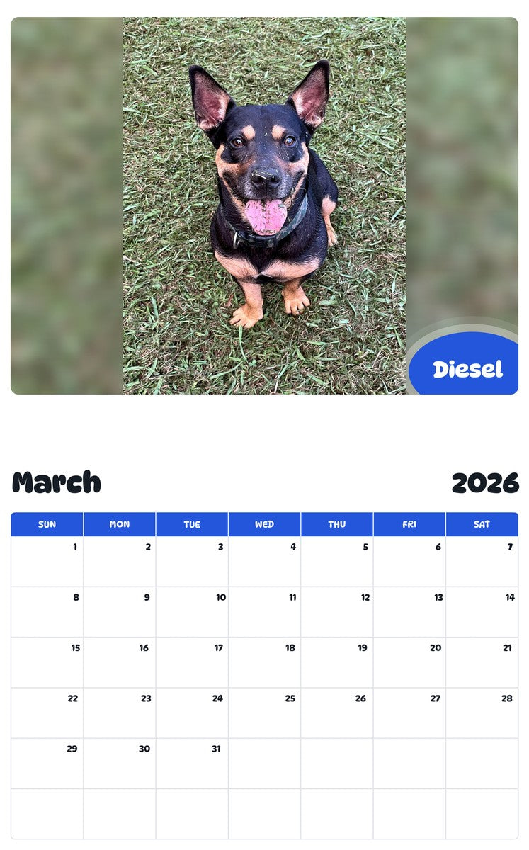 November 2025 - October 2026 Diesel - Pawidols Pet Calendar