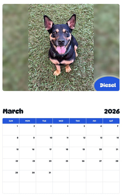 November 2025 - October 2026 Diesel - Pawidols Pet Calendar