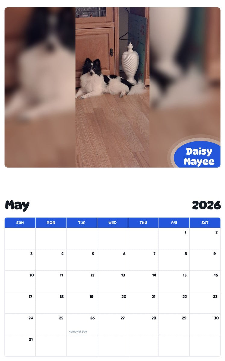 2026 - 2027 Daisy Mayee - Pawidols Pet Calendar