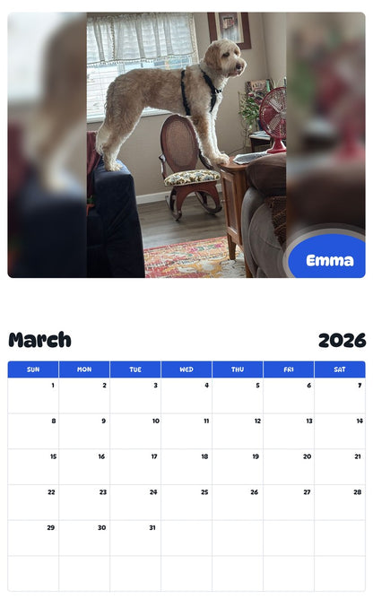 November 2025 - October 2026 Emma - Pawidols Pet Calendar
