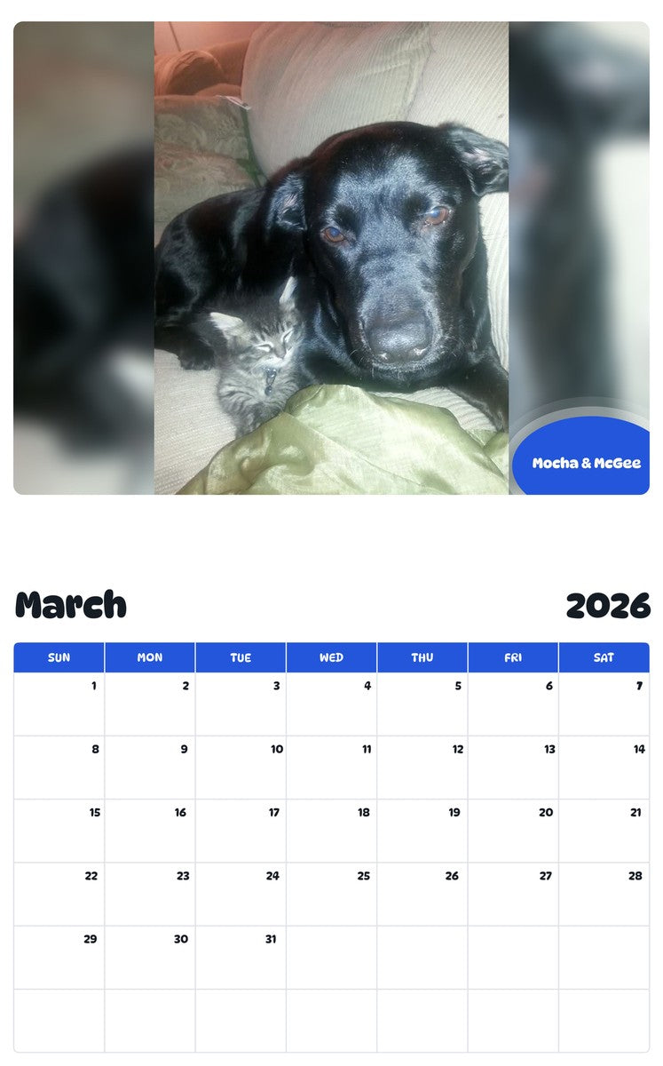 November 2025 - October 2026 Mocha & McGee - Pawidols Pet Calendar