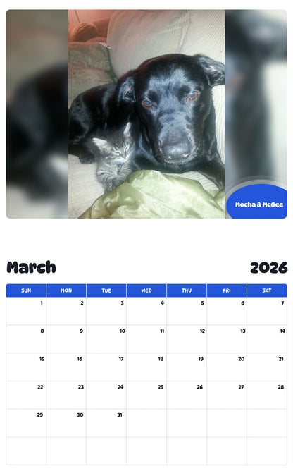 November 2025 - October 2026 Mocha & McGee - Pawidols Pet Calendar