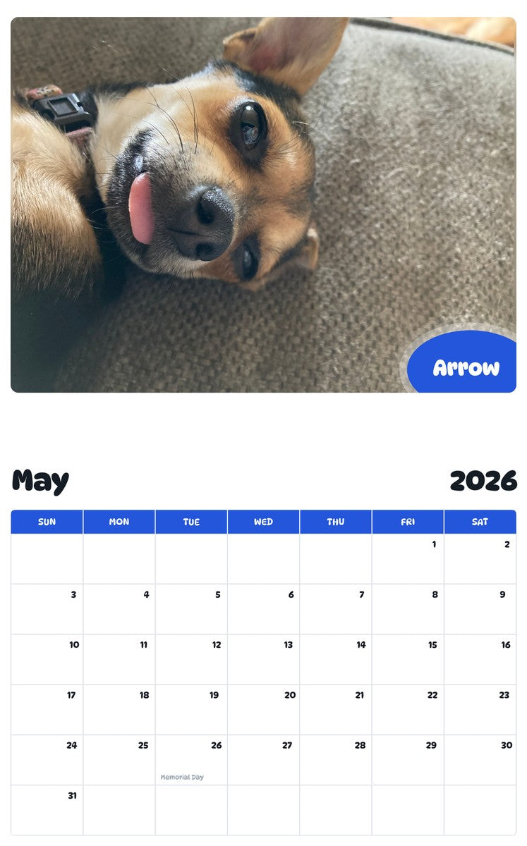 2026 - 2027 Arrow - Pawidols Pet Calendar