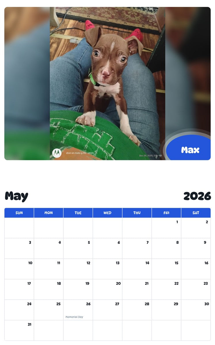 2026 - 2027 Max - Pawidols Pet Calendar
