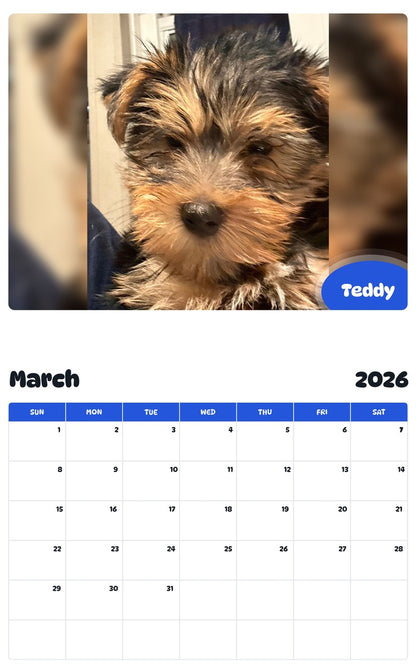 November 2025 - October 2026 Teddy - Pawidols Pet Calendar