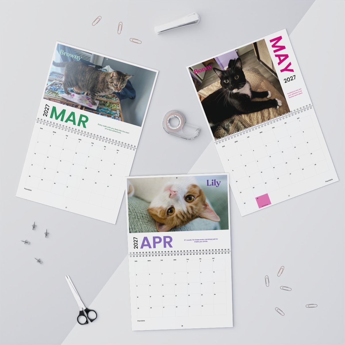 July 2026 - June 2027 Pawidols Pet Calendar