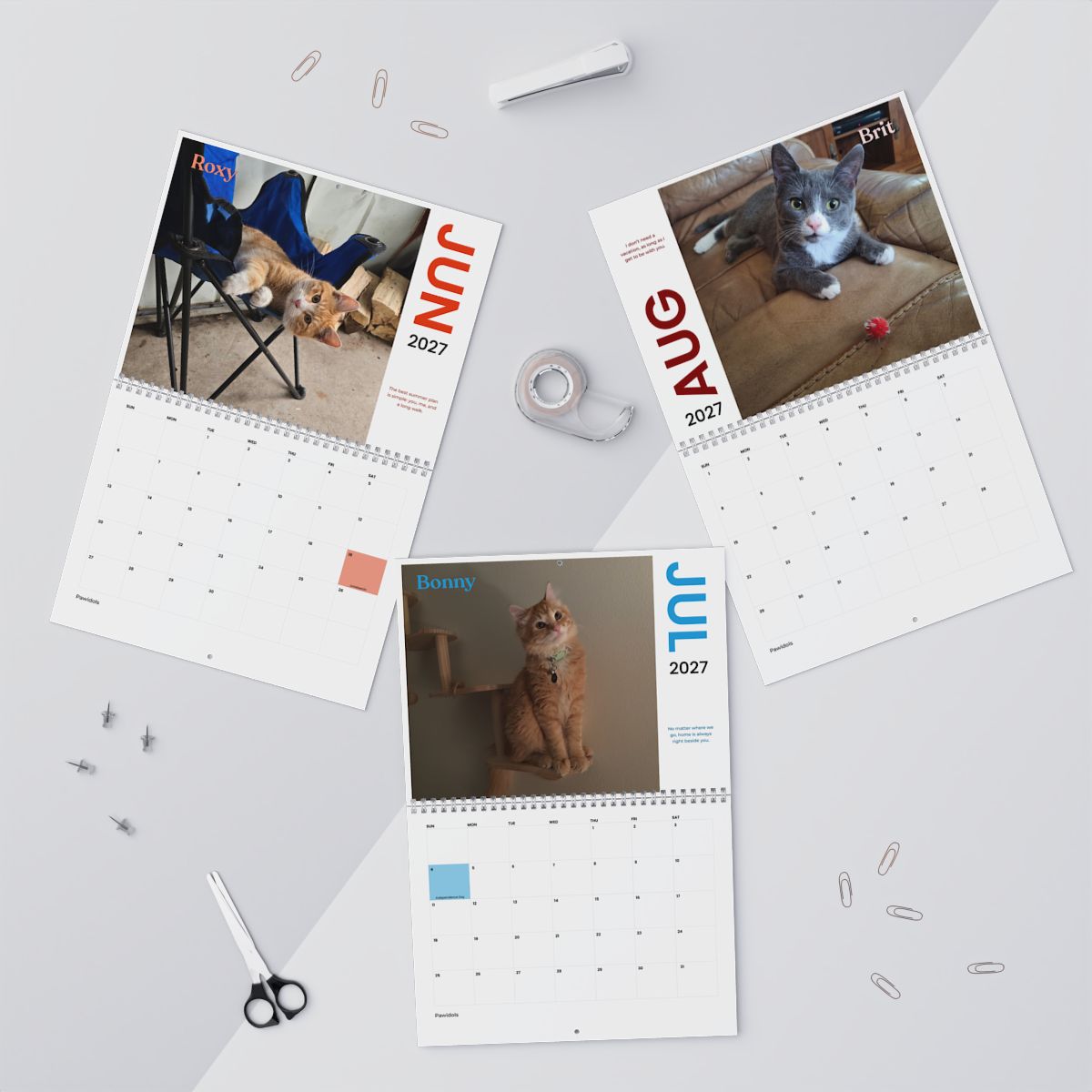 July 2026 - June 2027 Pawidols Pet Calendar