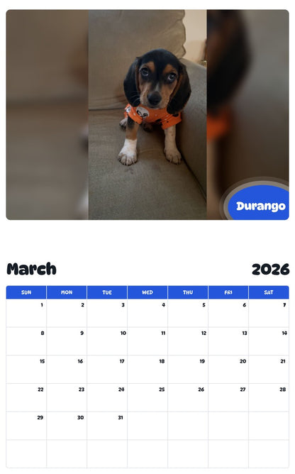 November 2025 - October 2026 Durango - Pawidols Pet Calendar