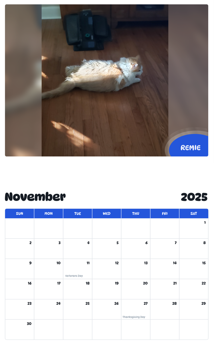 July 2025 - June 2026 Remie - Pawidols Pet Calendar