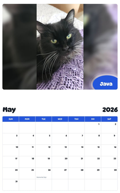2026 - 2027 Java - Pawidols Pet Calendar