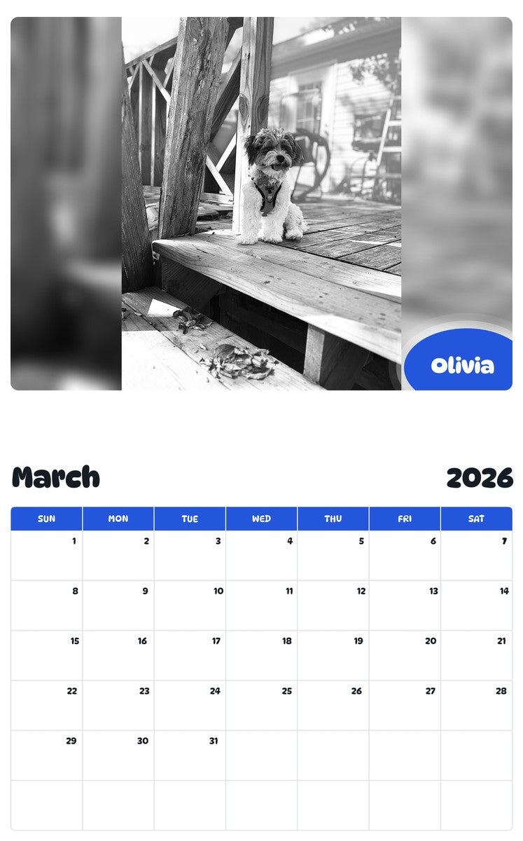 November 2025 - October 2026 Olivia - Pawidols Pet Calendar