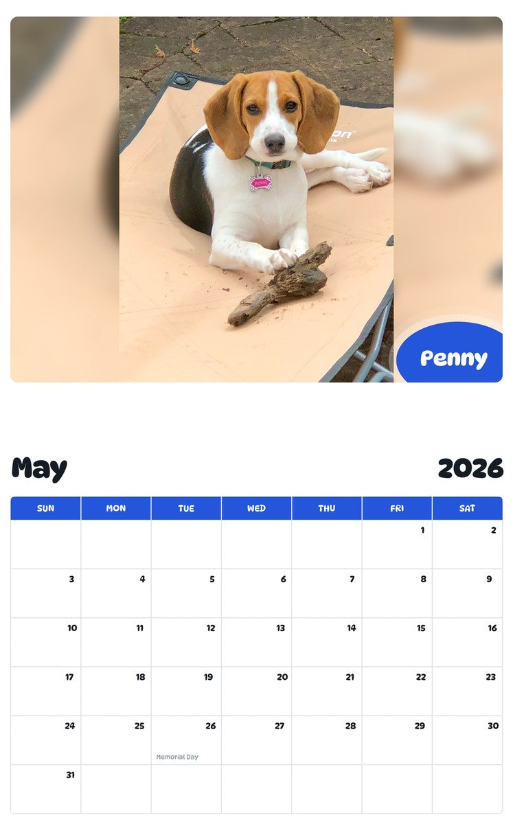 2026 - 2027 Penny - Pawidols Pet Calendar