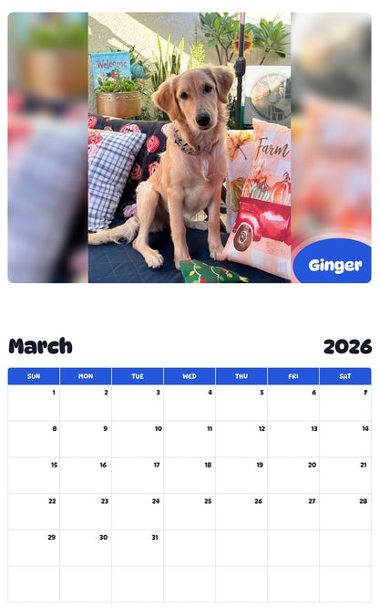 November 2025 - October 2026 Ginger - Pawidols Pet Calendar