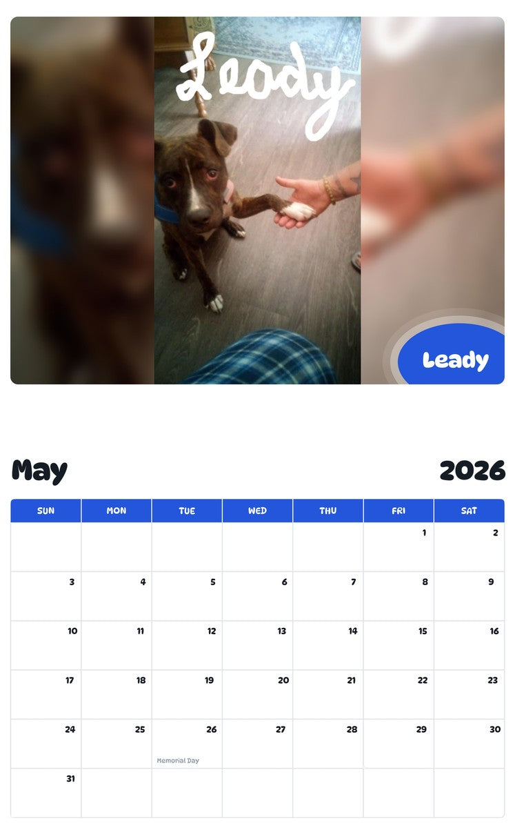 2026 - 2027 Leady - Pawidols Pet Calendar