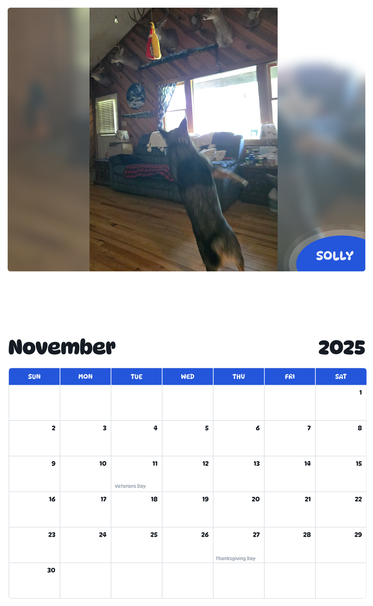 July 2025 - June 2026 Solly - Pawidols Pet Calendar