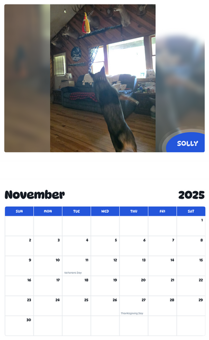 July 2025 - June 2026 Solly - Pawidols Pet Calendar