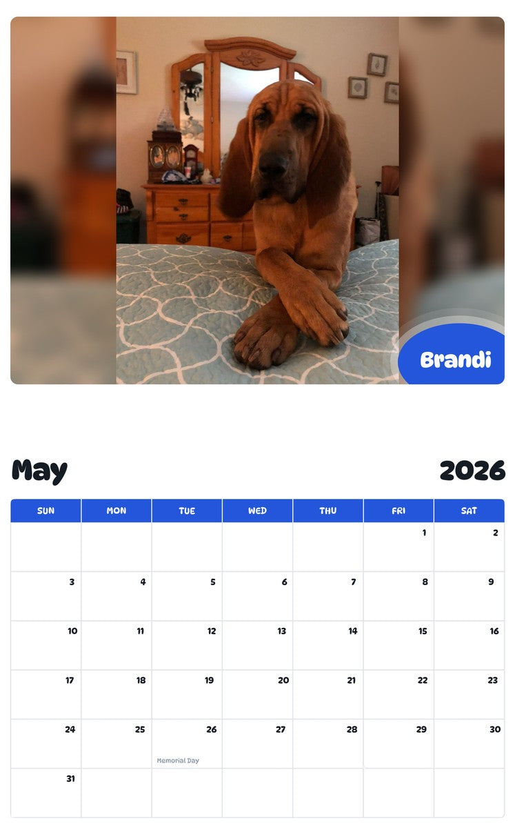 2026 - 2027 Brandi - Pawidols Pet Calendar