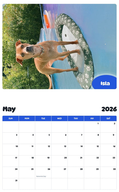 2026 - 2027 Isla - Pawidols Pet Calendar
