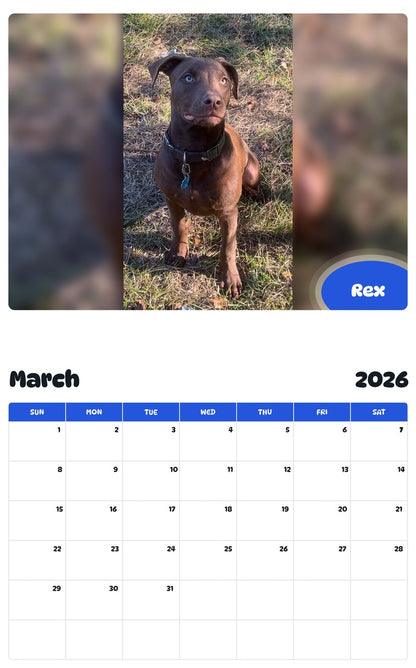 November 2025 - October 2026 Rex - Pawidols Pet Calendar