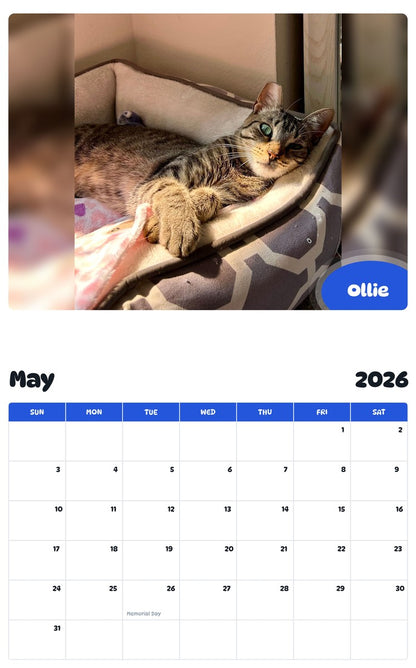 2026 - 2027 Ollie - Pawidols Pet Calendar