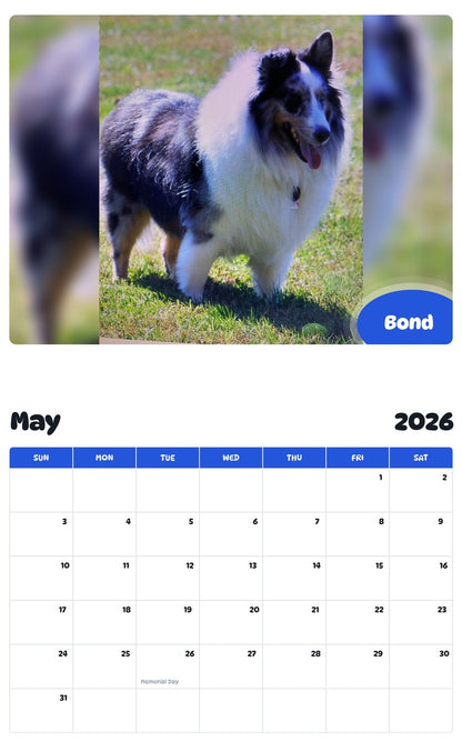 2026 - 2027 Bond - Pawidols Pet Calendar