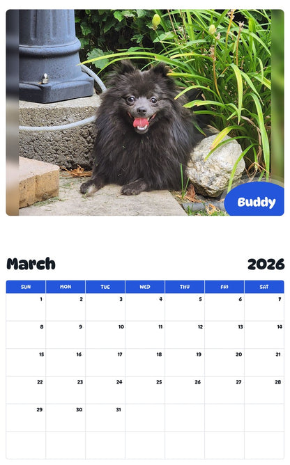 November 2025 - October 2026 Buddy - Pawidols Pet Calendar