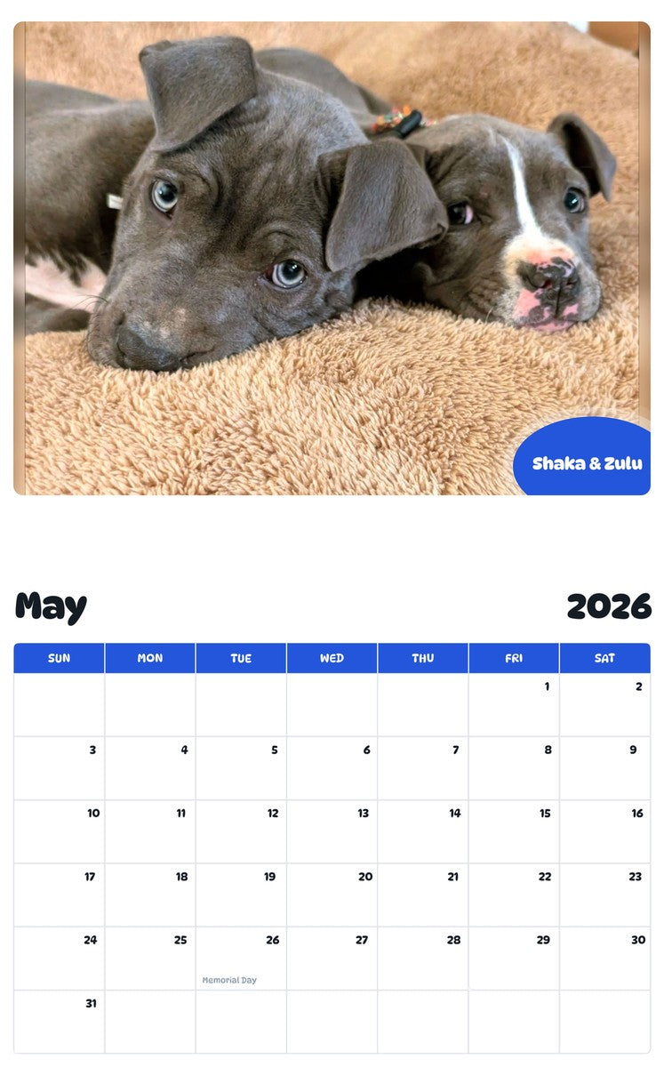 2026 - 2027 Shaka & Zulu - Pawidols Pet Calendar